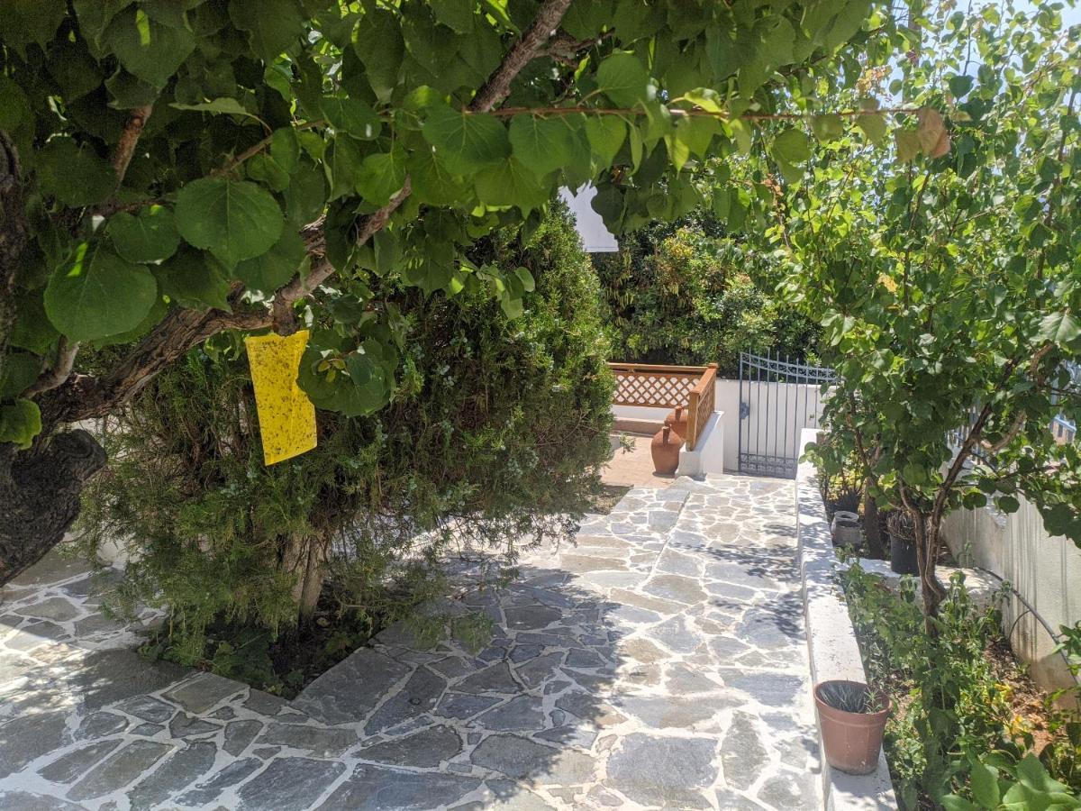 Iliakti Relaxing Seaside Salamina Exterior foto